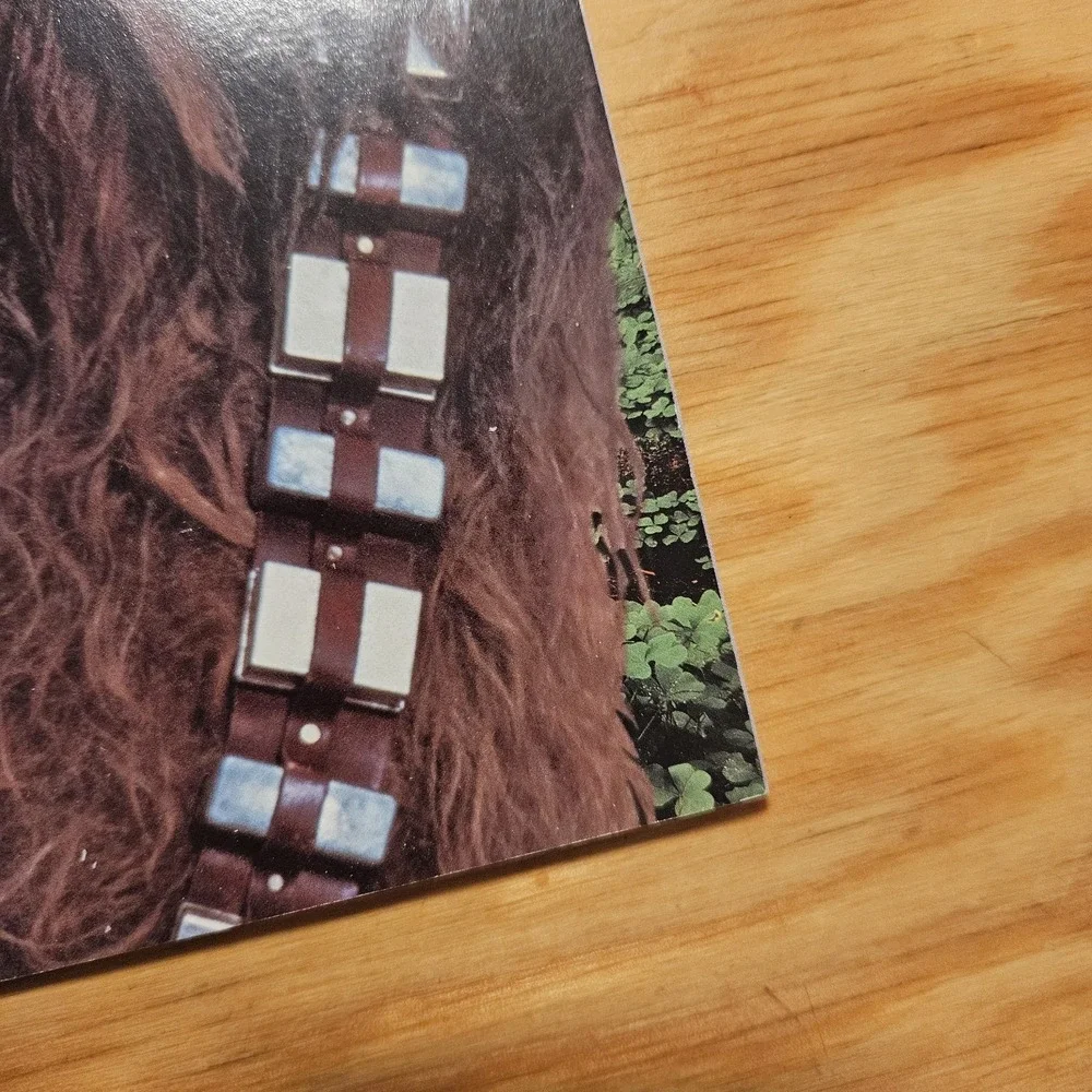 Star Wars Insider Issue 28 Chewbacca Mayhew Fan Club Subscription